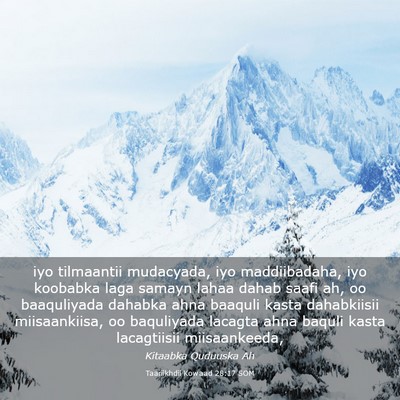 Picture 03 - Taariikhdii Kowaad 28:17 SOM - iyo tilmaantii mudacyada, iyo maddiibadaha, iyo - Bible Verse Picture