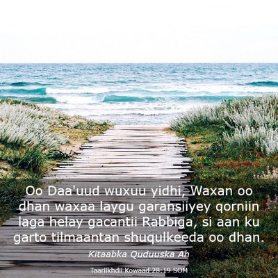 Picture 03 - Taariikhdii Kowaad 28:19 SOM - Oo Daa'uud wuxuu yidhi, Waxan oo dhan waxaa laygu - Bible Verse Picture