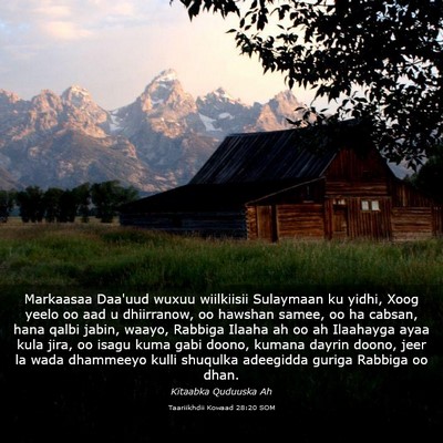 Picture 03 - Taariikhdii Kowaad 28:20 SOM - Markaasaa Daa'uud wuxuu wiilkiisii Sulaymaan ku - Bible Verse Picture
