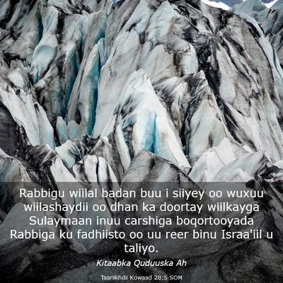 Picture 03 - Taariikhdii Kowaad 28:5 SOM - Rabbigu wiilal badan buu i siiyey oo wuxuu - Bible Verse Picture