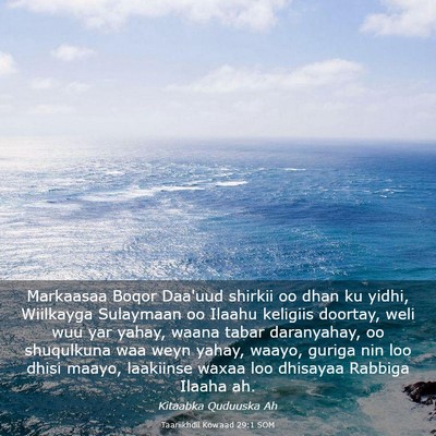 Picture 03 - Taariikhdii Kowaad 29:1 SOM - Markaasaa Boqor Daa'uud shirkii oo dhan ku yidhi, - Bible Verse Picture