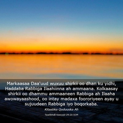 Picture 03 - Taariikhdii Kowaad 29:20 SOM - Markaasaa Daa'uud wuxuu shirkii oo dhan ku yidhi, - Bible Verse Picture