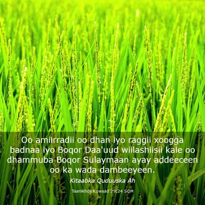 Picture 03 - Taariikhdii Kowaad 29:24 SOM - Oo amiirradii oo dhan iyo raggii xoogga badnaa - Bible Verse Picture