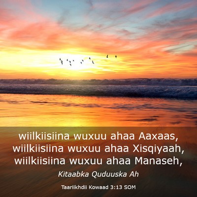 Picture 03 - Taariikhdii Kowaad 3:13 SOM - wiilkiisiina wuxuu ahaa Aaxaas, wiilkiisiina - Bible Verse Picture