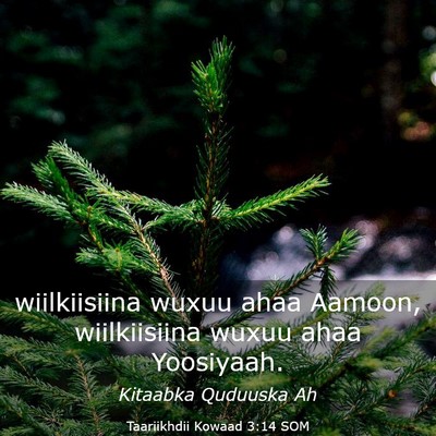 Picture 03 - Taariikhdii Kowaad 3:14 SOM - wiilkiisiina wuxuu ahaa Aamoon, wiilkiisiina - Bible Verse Picture