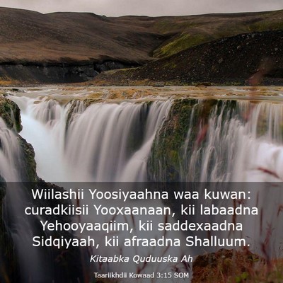 Picture 03 - Taariikhdii Kowaad 3:15 SOM - Wiilashii Yoosiyaahna waa kuwan: curadkiisii - Bible Verse Picture