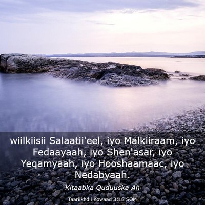 Picture 03 - Taariikhdii Kowaad 3:18 SOM - wiilkiisii Salaatii'eel, iyo Malkiiraam, iyo - Bible Verse Picture