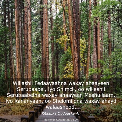 Picture 03 - Taariikhdii Kowaad 3:19 SOM - Wiilashii Fedaayaahna waxay ahaayeen Serubaabel, - Bible Verse Picture