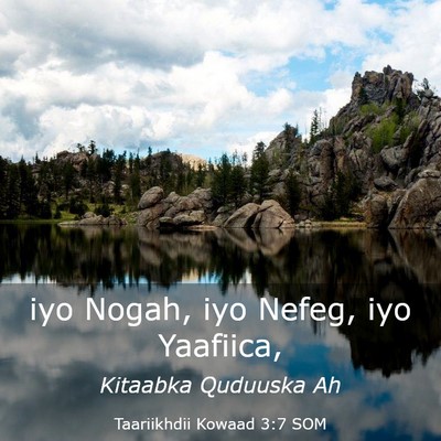 Picture 03 - Taariikhdii Kowaad 3:7 SOM - iyo Nogah, iyo Nefeg, iyo - Bible Verse Picture