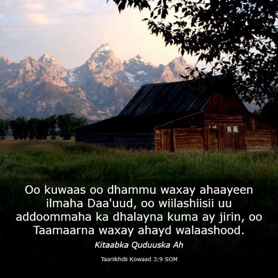 Picture 03 - Taariikhdii Kowaad 3:9 SOM - Oo kuwaas oo dhammu waxay ahaayeen ilmaha - Bible Verse Picture