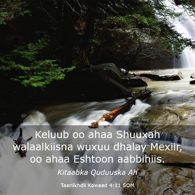 Picture 03 - Taariikhdii Kowaad 4:11 SOM - Keluub oo ahaa Shuuxah walaalkiisna wuxuu dhalay - Bible Verse Picture