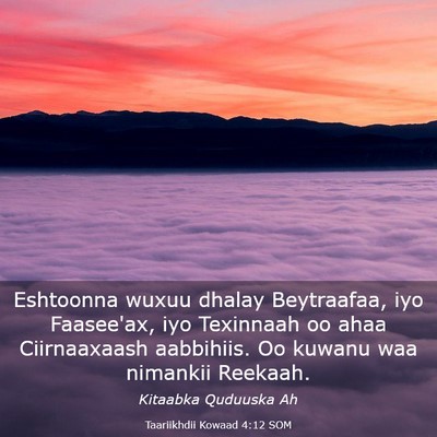 Picture 03 - Taariikhdii Kowaad 4:12 SOM - Eshtoonna wuxuu dhalay Beytraafaa, iyo Faasee'ax, - Bible Verse Picture