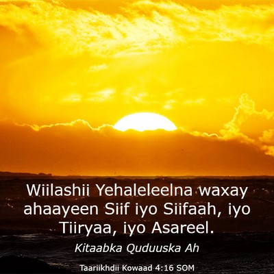Picture 03 - Taariikhdii Kowaad 4:16 SOM - Wiilashii Yehaleleelna waxay ahaayeen Siif iyo - Bible Verse Picture