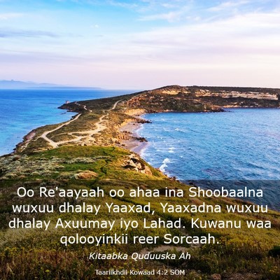 Picture 03 - Taariikhdii Kowaad 4:2 SOM - Oo Re'aayaah oo ahaa ina Shoobaalna wuxuu dhalay - Bible Verse Picture