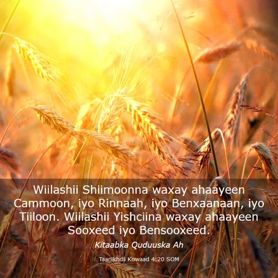 Picture 03 - Taariikhdii Kowaad 4:20 SOM - Wiilashii Shiimoonna waxay ahaayeen Cammoon, iyo - Bible Verse Picture