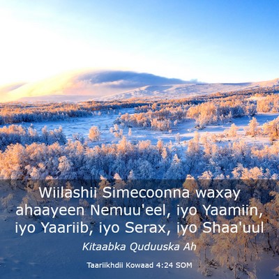 Picture 03 - Taariikhdii Kowaad 4:24 SOM - Wiilashii Simecoonna waxay ahaayeen Nemuu'eel, - Bible Verse Picture