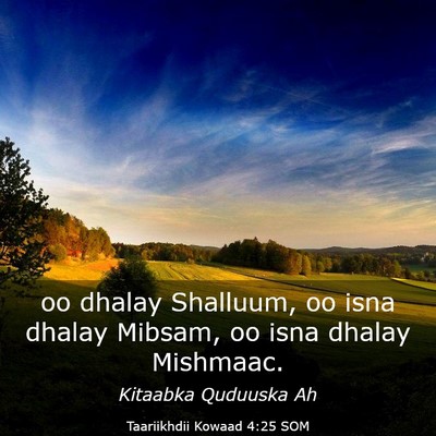 Picture 03 - Taariikhdii Kowaad 4:25 SOM - oo dhalay Shalluum, oo isna dhalay Mibsam, oo - Bible Verse Picture