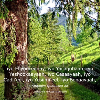 Picture 03 - Taariikhdii Kowaad 4:36 SOM - iyo Eliyooceenay, iyo Yacaqobaah, iyo - Bible Verse Picture