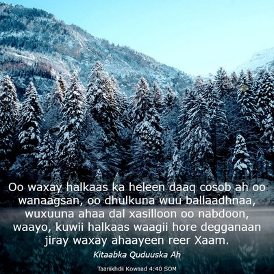 Picture 03 - Taariikhdii Kowaad 4:40 SOM - Oo waxay halkaas ka heleen daaq cosob ah oo - Bible Verse Picture