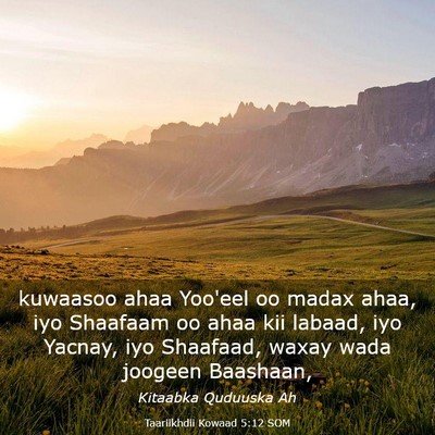 Picture 03 - Taariikhdii Kowaad 5:12 SOM - kuwaasoo ahaa Yoo'eel oo madax ahaa, iyo Shaafaam - Bible Verse Picture