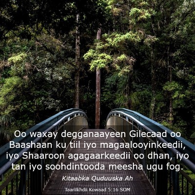 Picture 03 - Taariikhdii Kowaad 5:16 SOM - Oo waxay degganaayeen Gilecaad oo Baashaan ku - Bible Verse Picture