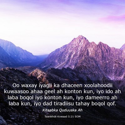 Picture 03 - Taariikhdii Kowaad 5:21 SOM - Oo waxay iyagii ka dhaceen xoolahoodii kuwaasoo - Bible Verse Picture