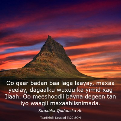 Picture 03 - Taariikhdii Kowaad 5:22 SOM - Oo qaar badan baa laga laayay, maxaa yeelay, - Bible Verse Picture