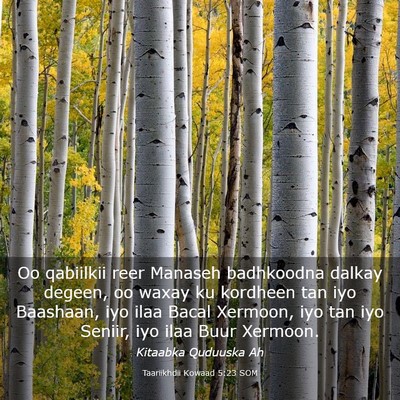 Picture 03 - Taariikhdii Kowaad 5:23 SOM - Oo qabiilkii reer Manaseh badhkoodna dalkay - Bible Verse Picture