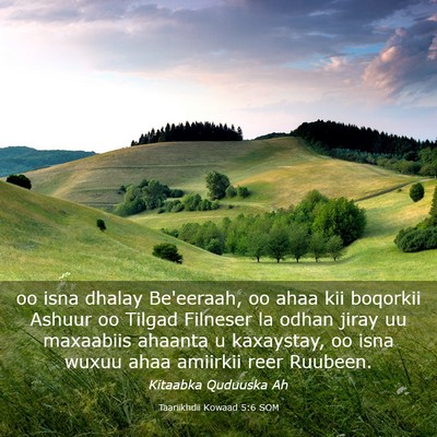 Picture 03 - Taariikhdii Kowaad 5:6 SOM - oo isna dhalay Be'eeraah, oo ahaa kii boqorkii - Bible Verse Picture
