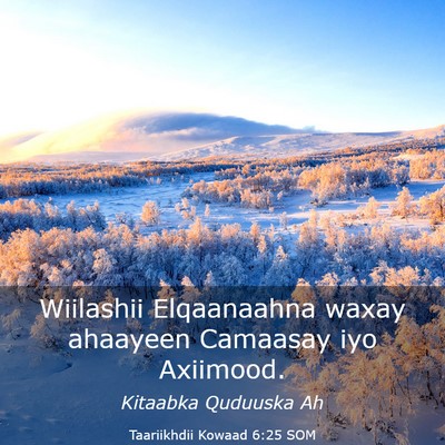 Picture 03 - Taariikhdii Kowaad 6:25 SOM - Wiilashii Elqaanaahna waxay ahaayeen Camaasay iyo - Bible Verse Picture