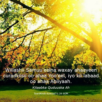 Picture 03 - Taariikhdii Kowaad 6:28 SOM - Wiilashii Samuu'eelna waxay ahaayeen curadkiisii - Bible Verse Picture