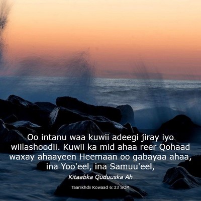 Picture 03 - Taariikhdii Kowaad 6:33 SOM - Oo intanu waa kuwii adeegi jiray iyo - Bible Verse Picture