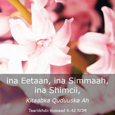 Picture 03 - Taariikhdii Kowaad 6:42 SOM - ina Eetaan, ina Simmaah, ina - Bible Verse Picture