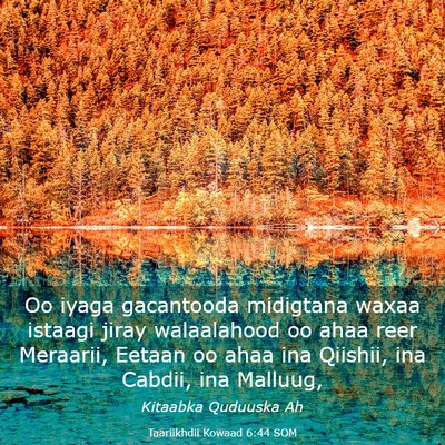 Picture 03 - Taariikhdii Kowaad 6:44 SOM - Oo iyaga gacantooda midigtana waxaa istaagi jiray - Bible Verse Picture