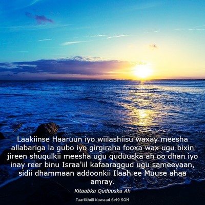 Picture 03 - Taariikhdii Kowaad 6:49 SOM - Laakiinse Haaruun iyo wiilashiisu waxay meesha - Bible Verse Picture