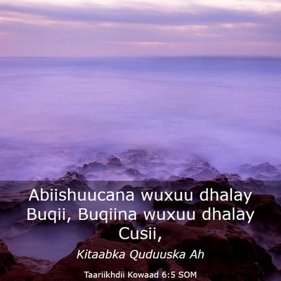 Picture 03 - Taariikhdii Kowaad 6:5 SOM - Abiishuucana wuxuu dhalay Buqii, Buqiina wuxuu - Bible Verse Picture
