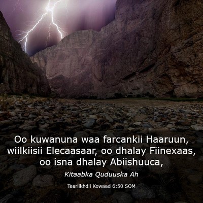 Picture 03 - Taariikhdii Kowaad 6:50 SOM - Oo kuwanuna waa farcankii Haaruun, wiilkiisii - Bible Verse Picture