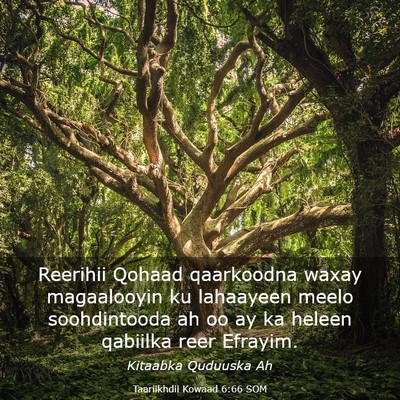 Picture 03 - Taariikhdii Kowaad 6:66 SOM - Reerihii Qohaad qaarkoodna waxay magaalooyin ku - Bible Verse Picture