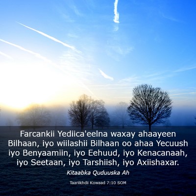Picture 03 - Taariikhdii Kowaad 7:10 SOM - Farcankii Yediica'eelna waxay ahaayeen Bilhaan, - Bible Verse Picture