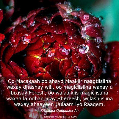 Picture 03 - Taariikhdii Kowaad 7:16 SOM - Oo Macakaah oo ahayd Maakiir naagtiisiina waxay - Bible Verse Picture