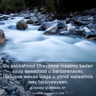 Picture 03 - Taariikhdii Kowaad 7:22 SOM - Oo aabbahood Efrayimna maalmo badan ayuu aawadood - Bible Verse Picture