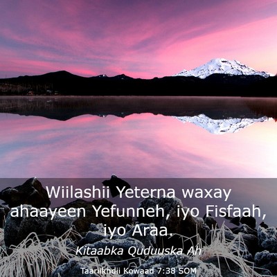 Picture 03 - Taariikhdii Kowaad 7:38 SOM - Wiilashii Yeterna waxay ahaayeen Yefunneh, iyo - Bible Verse Picture