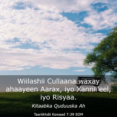 Picture 03 - Taariikhdii Kowaad 7:39 SOM - Wiilashii Cullaana waxay ahaayeen Aarax, iyo - Bible Verse Picture