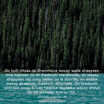 Picture 03 - Taariikhdii Kowaad 7:40 SOM - Oo kulli intaas oo dhammuna waxay wada ahaayeen - Bible Verse Picture