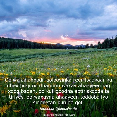 Picture 03 - Taariikhdii Kowaad 7:5 SOM - Oo walaalahoodii qolooyinka reer Isaakaar ku dhex - Bible Verse Picture