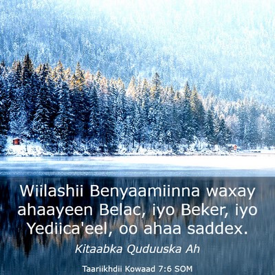 Picture 03 - Taariikhdii Kowaad 7:6 SOM - Wiilashii Benyaamiinna waxay ahaayeen Belac, iyo - Bible Verse Picture