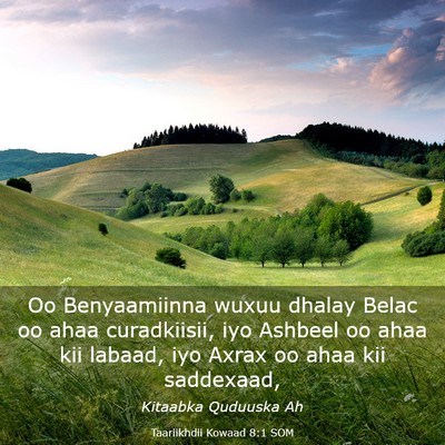 Picture 03 - Taariikhdii Kowaad 8:1 SOM - Oo Benyaamiinna wuxuu dhalay Belac oo ahaa - Bible Verse Picture