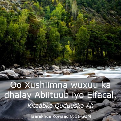 Picture 03 - Taariikhdii Kowaad 8:11 SOM - Oo Xushiimna wuxuu ka dhalay Abiituub iyo - Bible Verse Picture