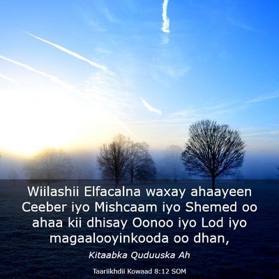 Picture 03 - Taariikhdii Kowaad 8:12 SOM - Wiilashii Elfacalna waxay ahaayeen Ceeber iyo - Bible Verse Picture