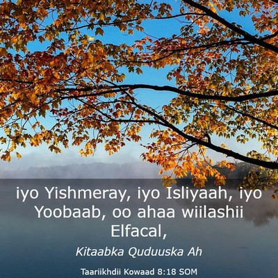 Picture 03 - Taariikhdii Kowaad 8:18 SOM - iyo Yishmeray, iyo Isliyaah, iyo Yoobaab, oo ahaa - Bible Verse Picture